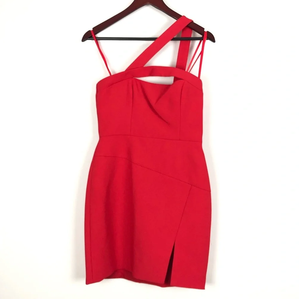 BCBGMaxazria Revolve Dayne Fitted Mini Dress